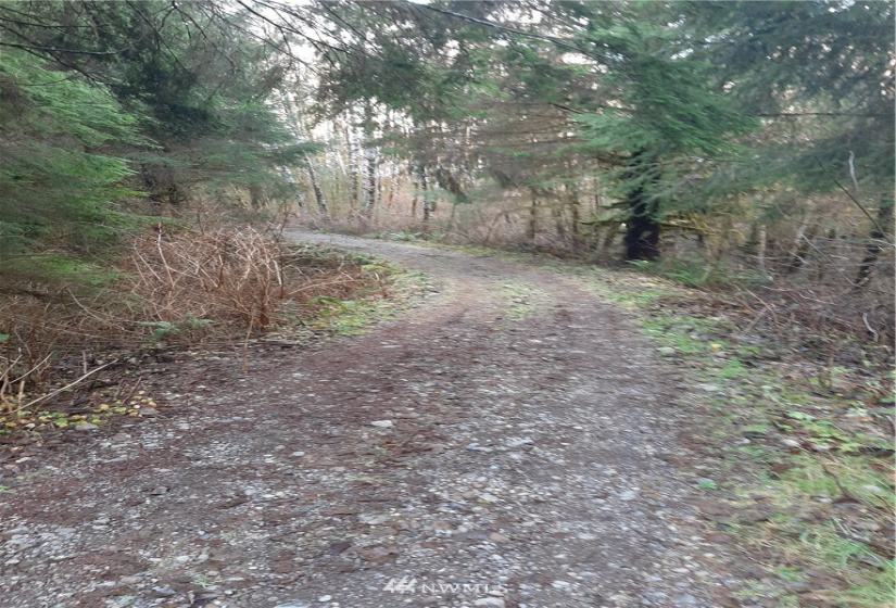 9912 Mina Smith, Forks, Washington 98331, ,Land,For Sale,Mina Smith,NWM1871528