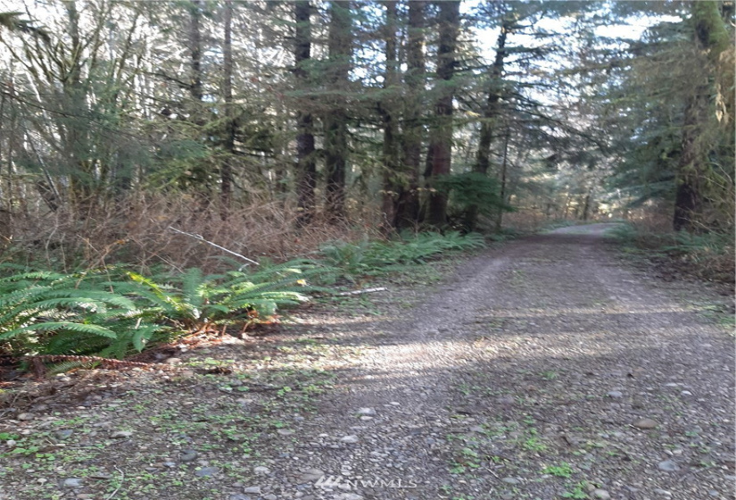 9912 Mina Smith, Forks, Washington 98331, ,Land,For Sale,Mina Smith,NWM1871528