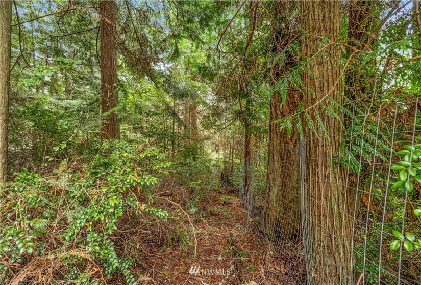 3835 Amble Rd, Langley, Washington 98260, 3 Bedrooms Bedrooms, ,2 BathroomsBathrooms,Manufactured In Park,For Sale,Amble Rd,NWM1867121