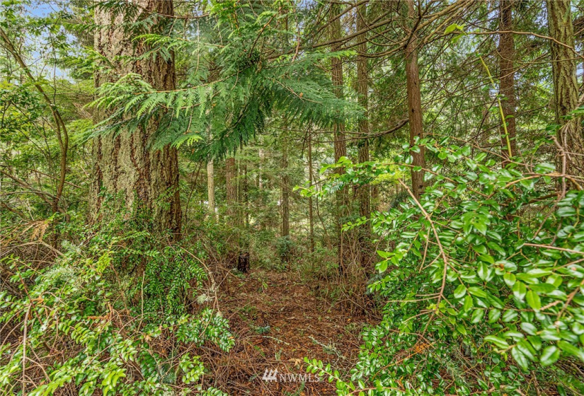 3835 Amble Rd, Langley, Washington 98260, 3 Bedrooms Bedrooms, ,2 BathroomsBathrooms,Manufactured In Park,For Sale,Amble Rd,NWM1867121