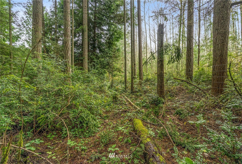 3835 Amble Rd, Langley, Washington 98260, 3 Bedrooms Bedrooms, ,2 BathroomsBathrooms,Manufactured In Park,For Sale,Amble Rd,NWM1867121