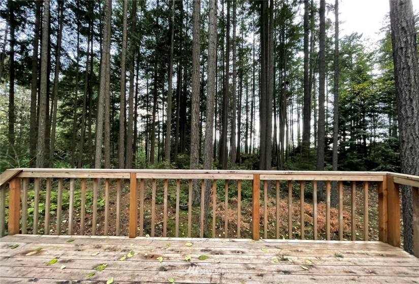 17126 68th, Edmonds, Washington 98026, 3 Bedrooms Bedrooms, ,1 BathroomBathrooms,Residential,For Sale,68th,NWM1871595