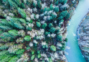 0 Tolt River, Carnation, Washington 98014, ,Land,For Sale,Tolt River,NWM1871659