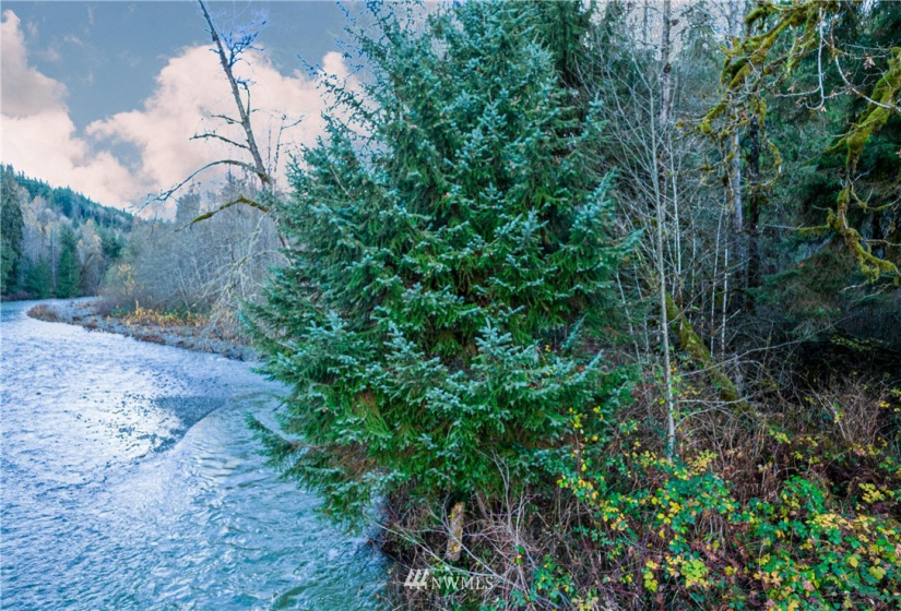 0 Tolt River, Carnation, Washington 98014, ,Land,For Sale,Tolt River,NWM1871659