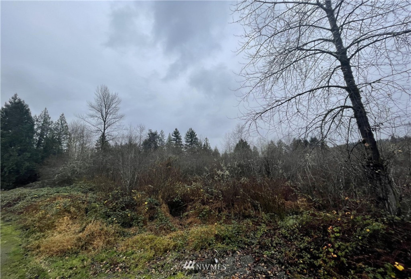 13662 Bear Creek Rd, Woodinville, Washington 98077, ,Land,For Sale,Bear Creek Rd,NWM1870434