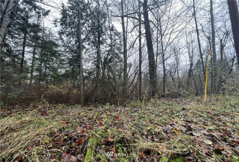 13662 Bear Creek Rd, Woodinville, Washington 98077, ,Land,For Sale,Bear Creek Rd,NWM1870434