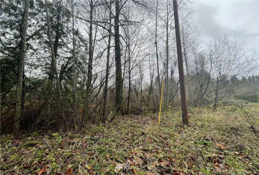 13662 Bear Creek Rd, Woodinville, Washington 98077, ,Land,For Sale,Bear Creek Rd,NWM1870434
