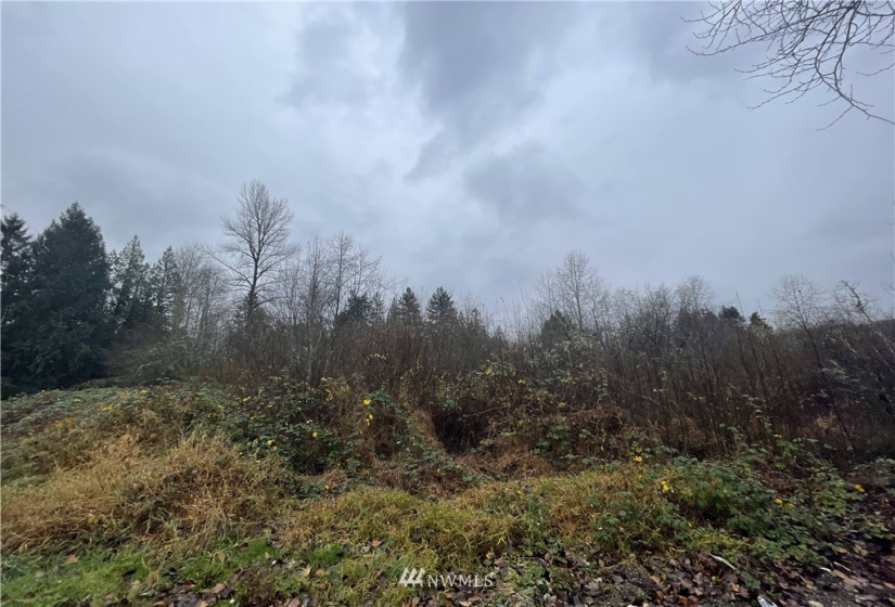 13662 Bear Creek Rd, Woodinville, Washington 98077, ,Land,For Sale,Bear Creek Rd,NWM1870434