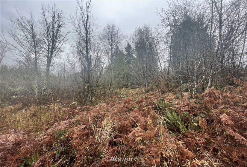 13662 Bear Creek Rd, Woodinville, Washington 98077, ,Land,For Sale,Bear Creek Rd,NWM1870434