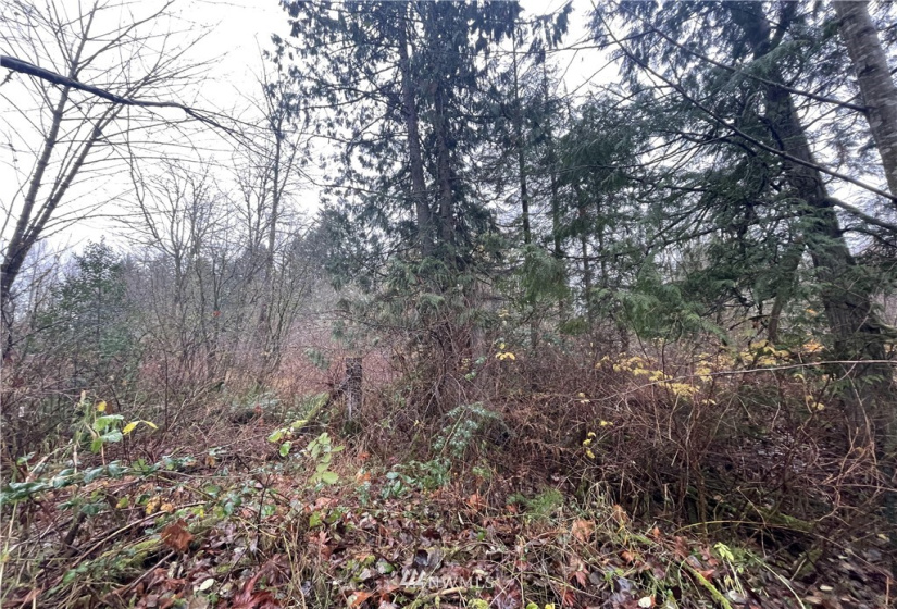 13662 Bear Creek Rd, Woodinville, Washington 98077, ,Land,For Sale,Bear Creek Rd,NWM1870434