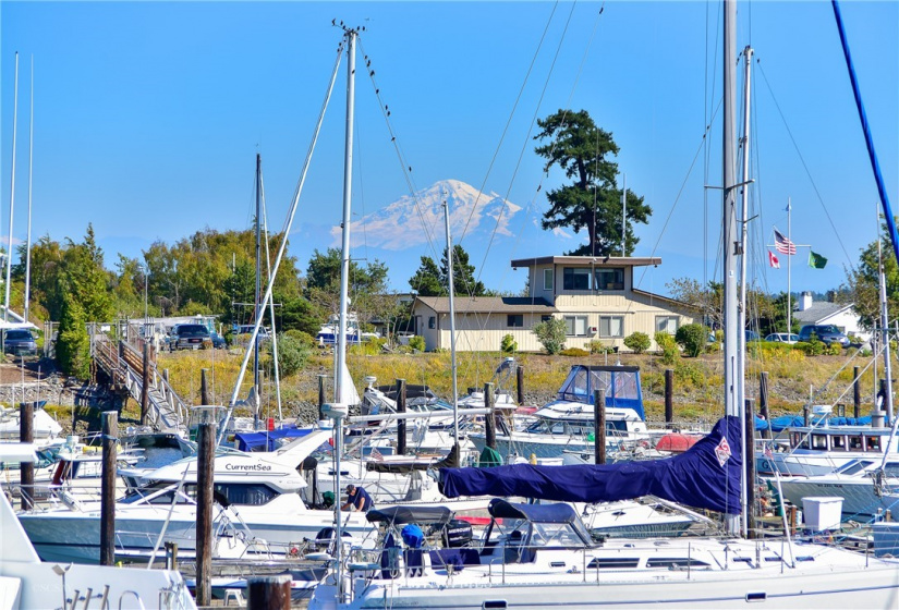 8027 Niska, Blaine, Washington 98230, 3 Bedrooms Bedrooms, ,3 BathroomsBathrooms,Residential,For Sale,Birch Bay Village,Niska,NWM1870707