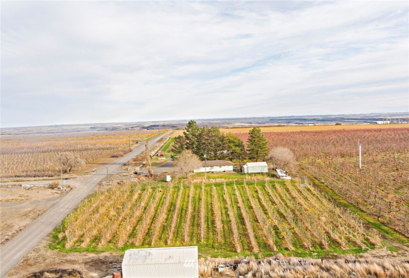 2845 Phillips, Othello, Washington 99344, 3 Bedrooms Bedrooms, ,1 BathroomBathrooms,Farm,For Sale,Phillips,NWM1871593