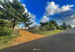 366 Ensign, Ocean Shores, Washington 98569, ,Land,For Sale,2,Ensign,NWM1871716