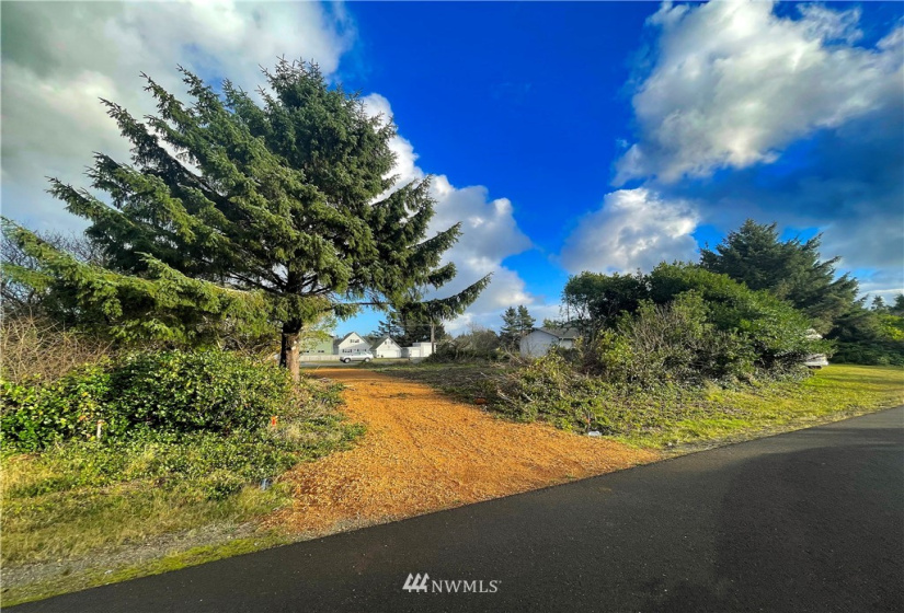 366 Ensign, Ocean Shores, Washington 98569, ,Land,For Sale,2,Ensign,NWM1871716