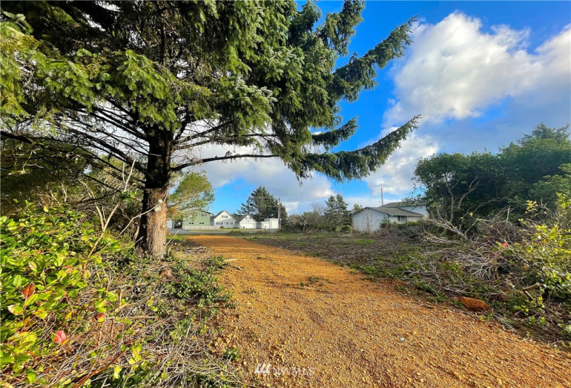 366 Ensign, Ocean Shores, Washington 98569, ,Land,For Sale,2,Ensign,NWM1871716