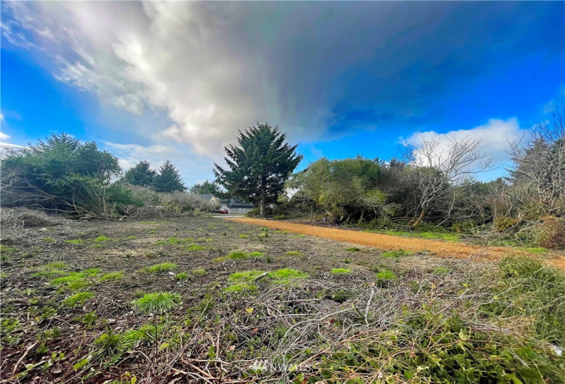 366 Ensign, Ocean Shores, Washington 98569, ,Land,For Sale,2,Ensign,NWM1871716