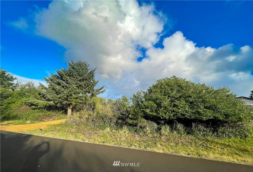366 Ensign, Ocean Shores, Washington 98569, ,Land,For Sale,2,Ensign,NWM1871716