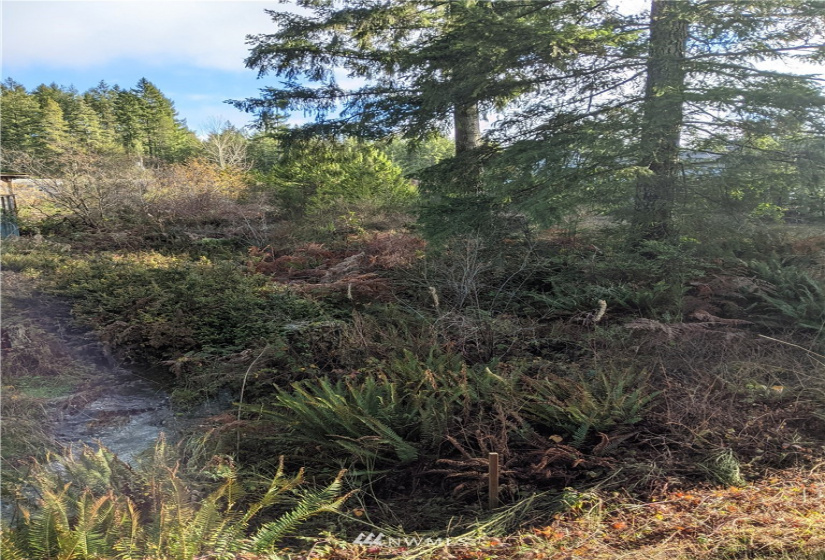 0 XXXXX Burchard, Port Orchard, Washington 98367, ,Land,For Sale,7405425 - Wye Lake,Burchard,NWM1868162