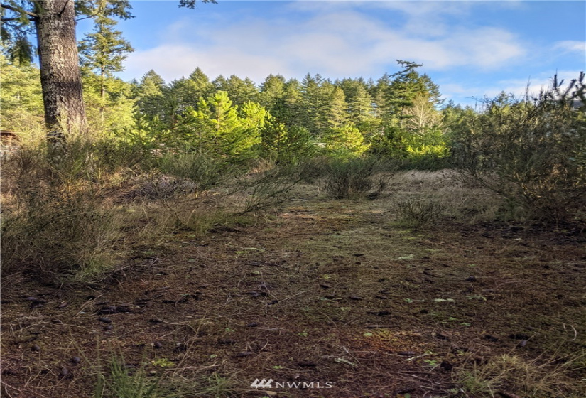 0 XXXXX Burchard, Port Orchard, Washington 98367, ,Land,For Sale,7405425 - Wye Lake,Burchard,NWM1868162
