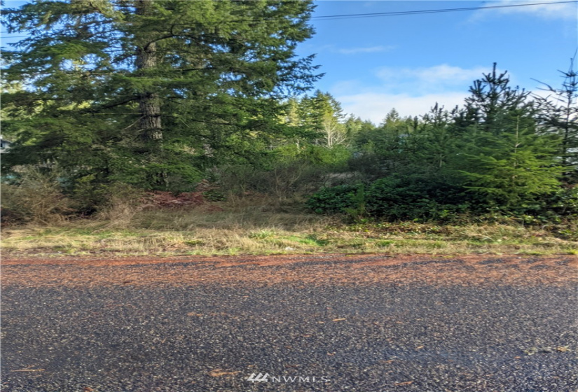 0 XXXXX Burchard, Port Orchard, Washington 98367, ,Land,For Sale,7405425 - Wye Lake,Burchard,NWM1868162