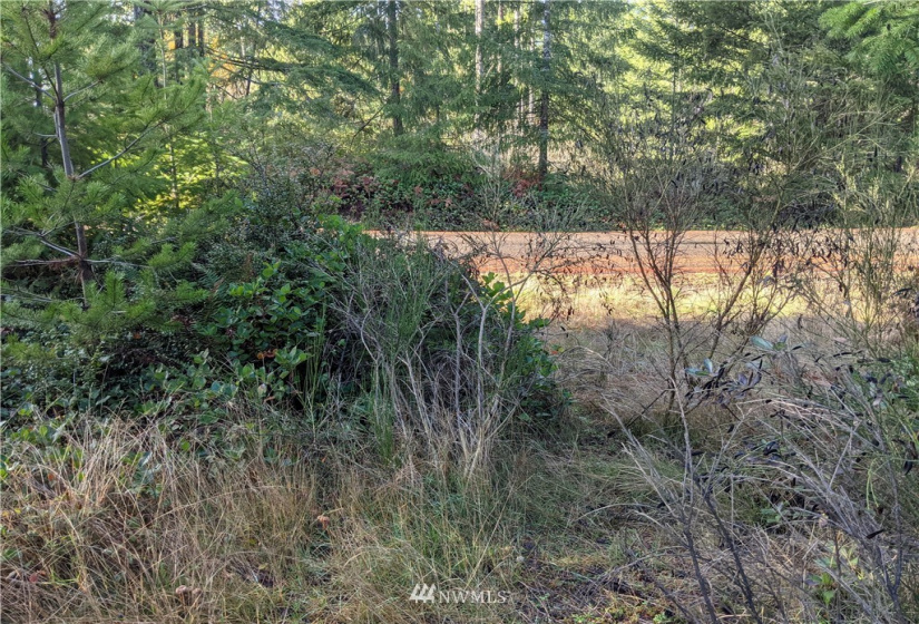 0 XXXXX Burchard, Port Orchard, Washington 98367, ,Land,For Sale,7405425 - Wye Lake,Burchard,NWM1868162