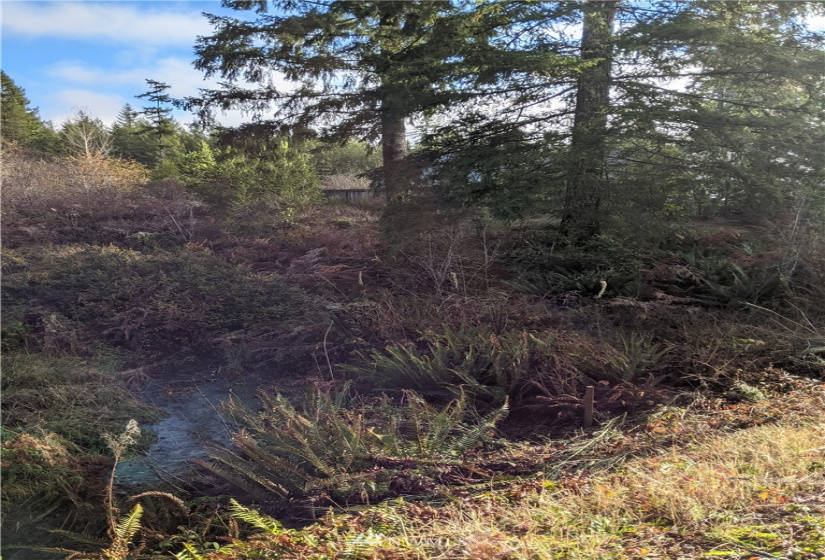 0 XXXXX Burchard, Port Orchard, Washington 98367, ,Land,For Sale,7405425 - Wye Lake,Burchard,NWM1868162