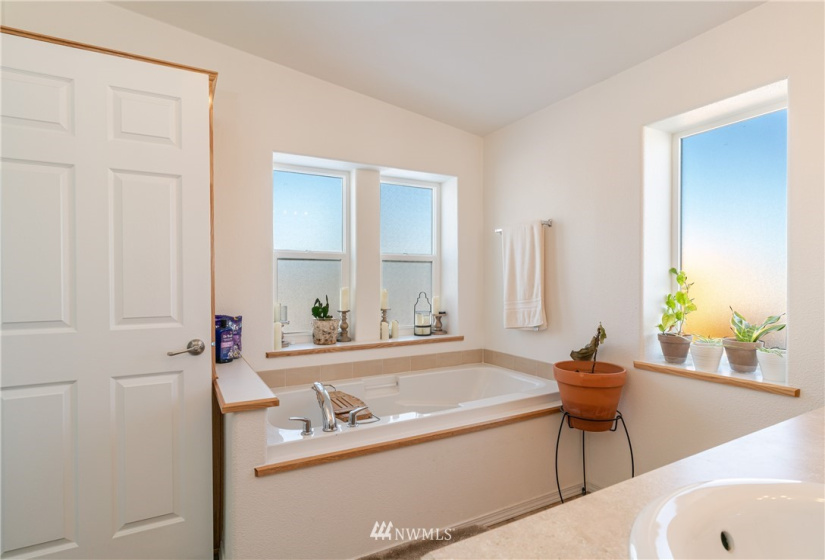 1565 Washington Creek, Chelan, Washington 98816, 3 Bedrooms Bedrooms, ,1 BathroomBathrooms,Residential,For Sale,Washington Creek,NWM1871625