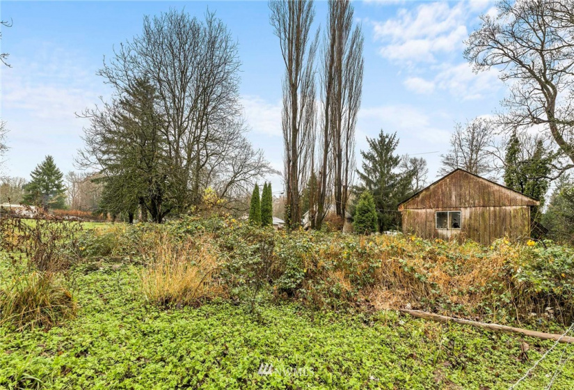 516 Elm, Hamilton, Washington 98255, ,Land,For Sale,Elm,NWM1871846