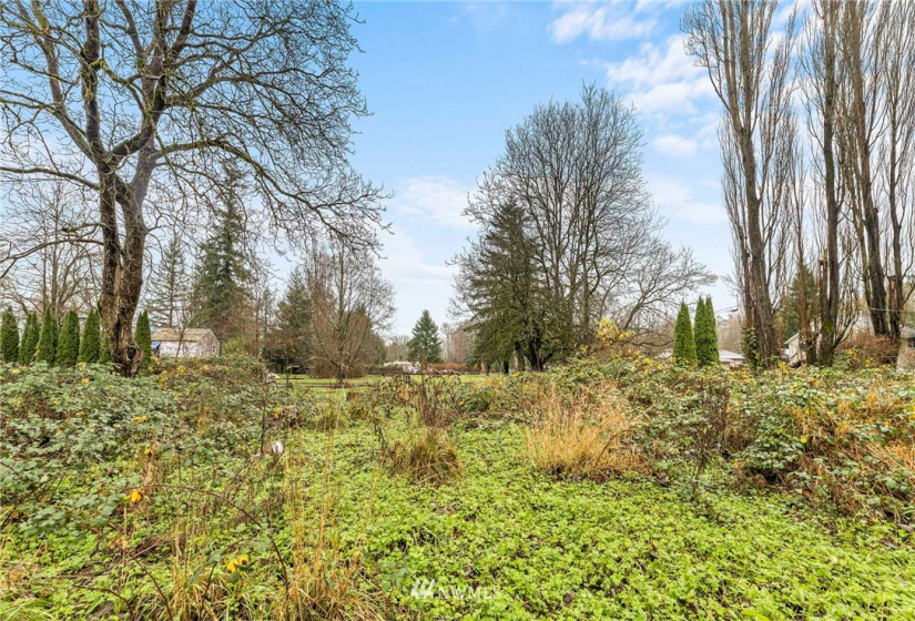 516 Elm, Hamilton, Washington 98255, ,Land,For Sale,Elm,NWM1871846