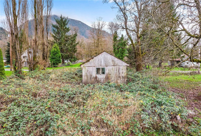 516 Elm, Hamilton, Washington 98255, ,Land,For Sale,Elm,NWM1871846