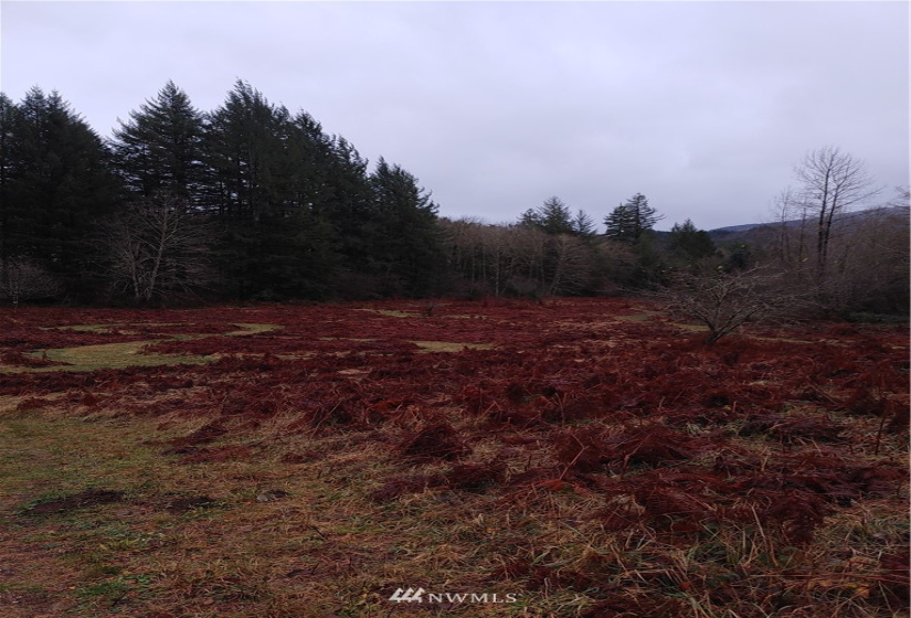 3 Yeager, Concrete, Washington 98237, ,Land,For Sale,Yeager,NWM1870397