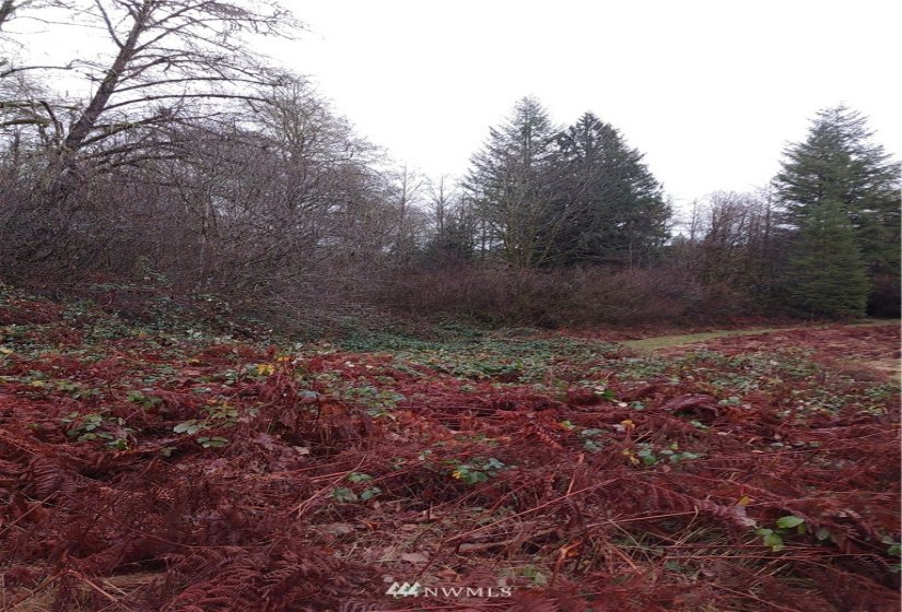 3 Yeager, Concrete, Washington 98237, ,Land,For Sale,Yeager,NWM1870397