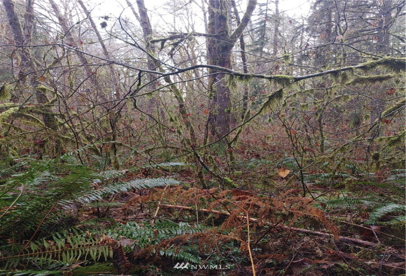 3 Yeager, Concrete, Washington 98237, ,Land,For Sale,Yeager,NWM1870397