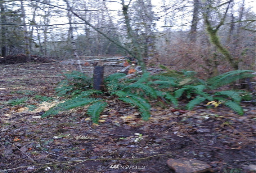 3 Yeager, Concrete, Washington 98237, ,Land,For Sale,Yeager,NWM1870397