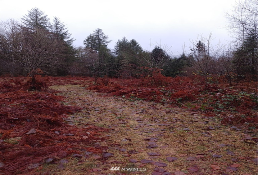 3 Yeager, Concrete, Washington 98237, ,Land,For Sale,Yeager,NWM1870397