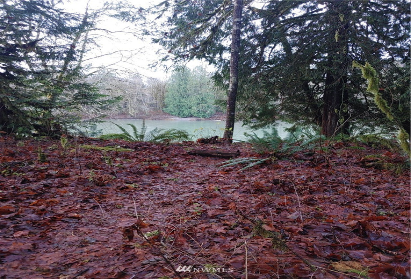3 Yeager, Concrete, Washington 98237, ,Land,For Sale,Yeager,NWM1870397