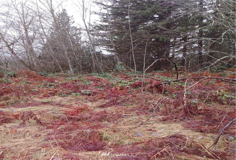 3 Yeager, Concrete, Washington 98237, ,Land,For Sale,Yeager,NWM1870397