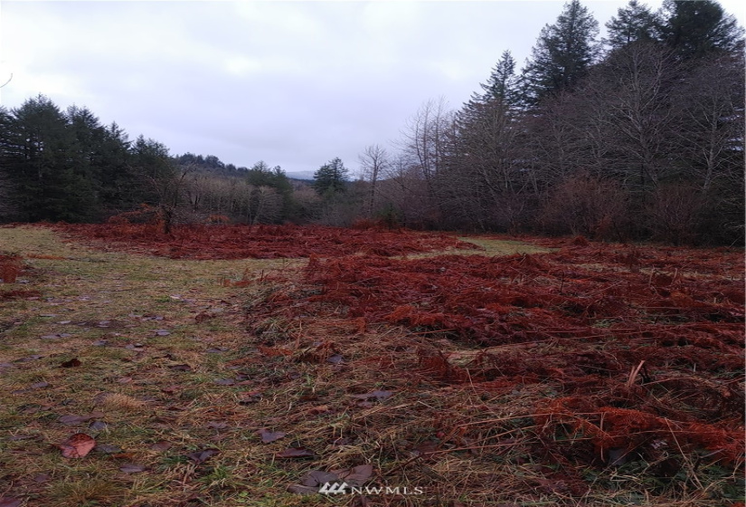 3 Yeager, Concrete, Washington 98237, ,Land,For Sale,Yeager,NWM1870397