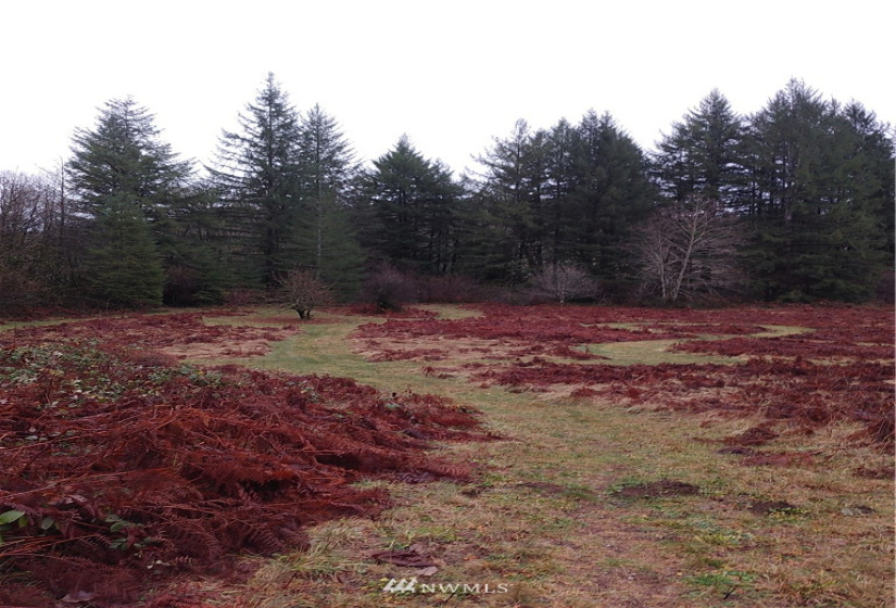 3 Yeager, Concrete, Washington 98237, ,Land,For Sale,Yeager,NWM1870397