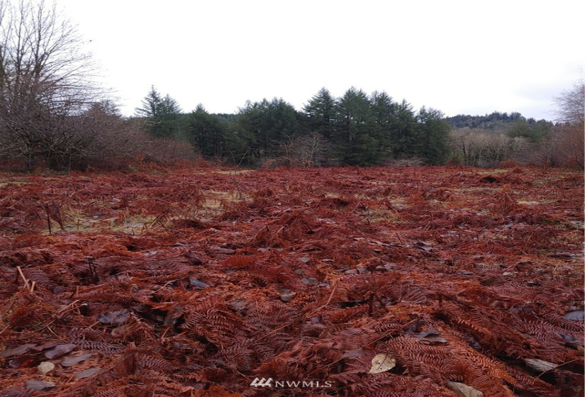 3 Yeager, Concrete, Washington 98237, ,Land,For Sale,Yeager,NWM1870397