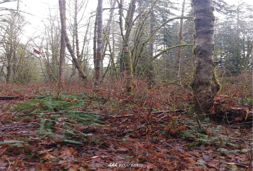 2 Yeager, Concrete, Washington 98237, ,Land,For Sale,Yeager,NWM1870401