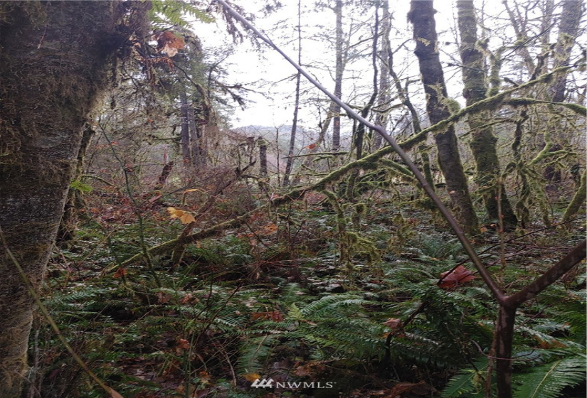 2 Yeager, Concrete, Washington 98237, ,Land,For Sale,Yeager,NWM1870401