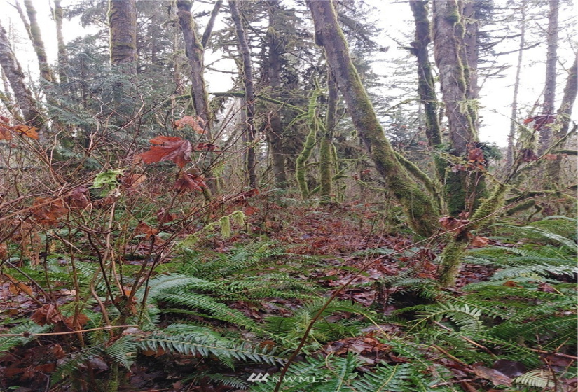 2 Yeager, Concrete, Washington 98237, ,Land,For Sale,Yeager,NWM1870401