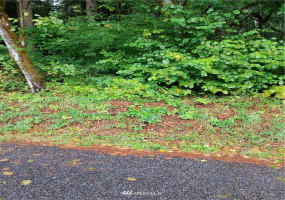 2 Yeager, Concrete, Washington 98237, ,Land,For Sale,Yeager,NWM1870401