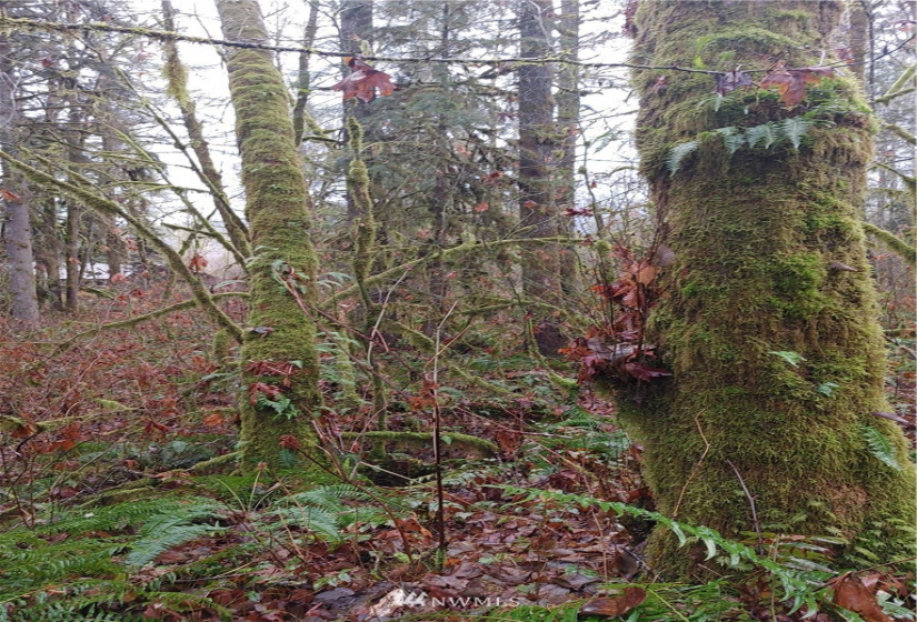 2 Yeager, Concrete, Washington 98237, ,Land,For Sale,Yeager,NWM1870401