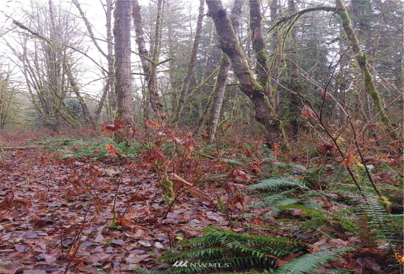 2 Yeager, Concrete, Washington 98237, ,Land,For Sale,Yeager,NWM1870401