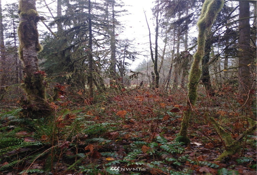 2 Yeager, Concrete, Washington 98237, ,Land,For Sale,Yeager,NWM1870401