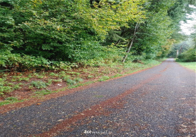 1 Yeager, Concrete, Washington 98237, ,Land,For Sale,Yeager,NWM1870406
