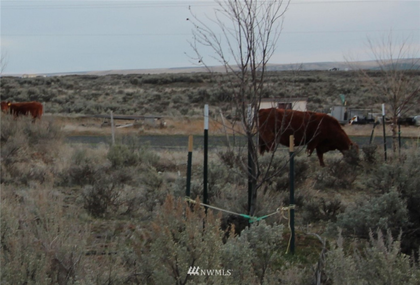 0 Arroyo, Ephrata, Washington 98823, ,Land,For Sale,Rimorck Meadows,Arroyo,NWM1871860