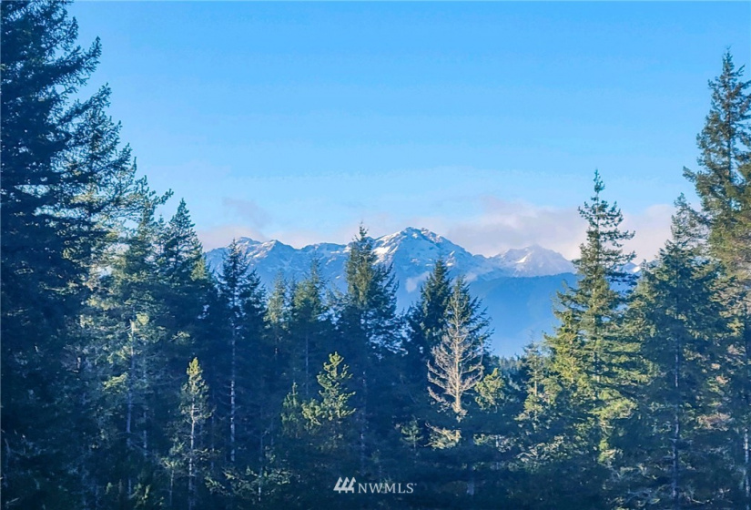 1111 Hurd, Belfair, Washington 98528, 3 Bedrooms Bedrooms, ,2 BathroomsBathrooms,Residential,For Sale,TR 13 OF SURVEY 4/142 TR C OF SP #1161,Hurd,NWM1871810